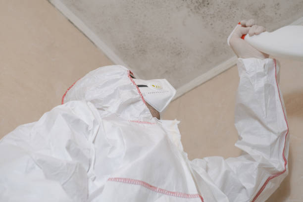 Best Mold Testing  in Cache, OK